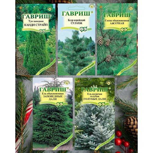 ������ ������ ����� ������ ������� �������� ����� ������������ �������, ��� �������� ����� ������, ���� ��������� ������, ��� ������� � ������������, ����� 5 ��������� ����