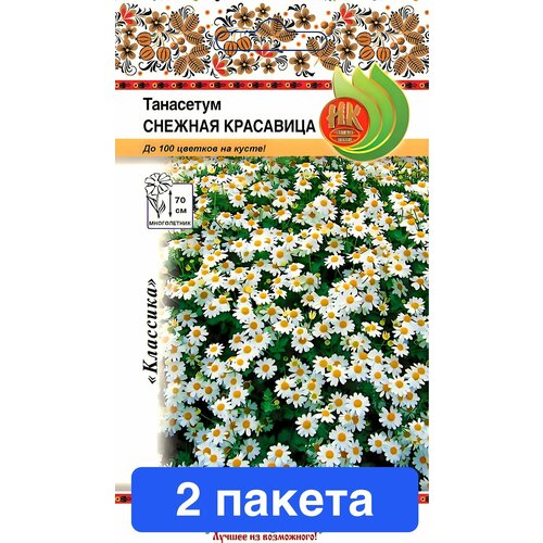 ������ ������ ����� ��������� ������� ��������� 2 ������ ����