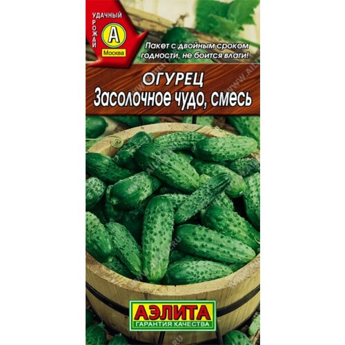 ������ ������ ������ ������ ���������� ���� 20�� ����� �� ������ (������) ����