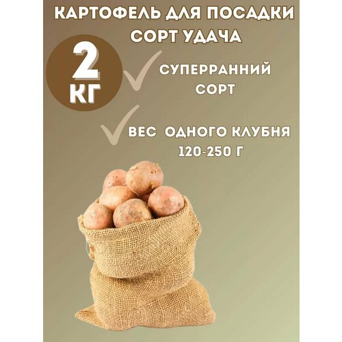 ������ ������ ��������� �������� 