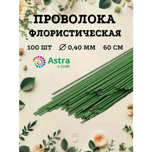 ������ ������ ��������� �������������� ������� 0,4 ��*60 ��, 100 �� (� 5 ��), � �������� �������, Astra&Craft ����