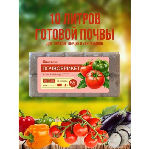 ������ ������ ��������� ����������� �����-����� 10 �. ����