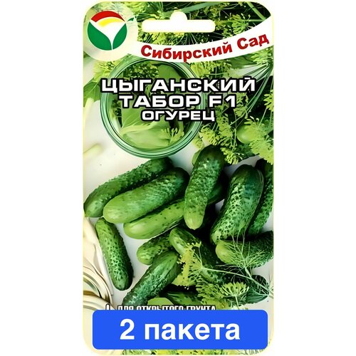 ������ ������ ������ ������ ��������� ��� 