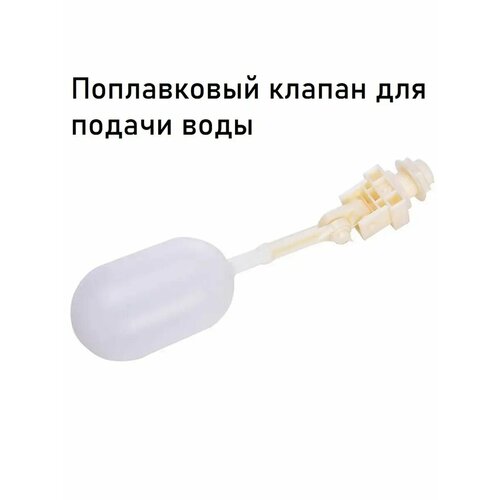 ������ ������ ����������� ������ ��� ������ ���� ����