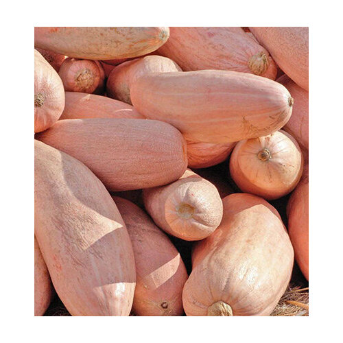 ������ ������ ����� ������� ����� (�� 5 �� 18 ��) 1 ��. ����