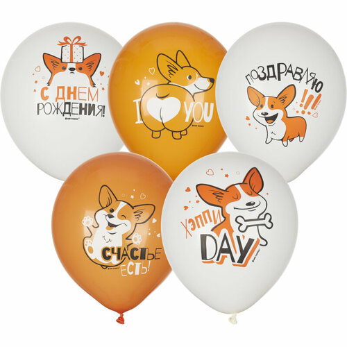 ������ ������ ��������� ���� ���� ��� White&Orange ����� 30��, 5��. ����