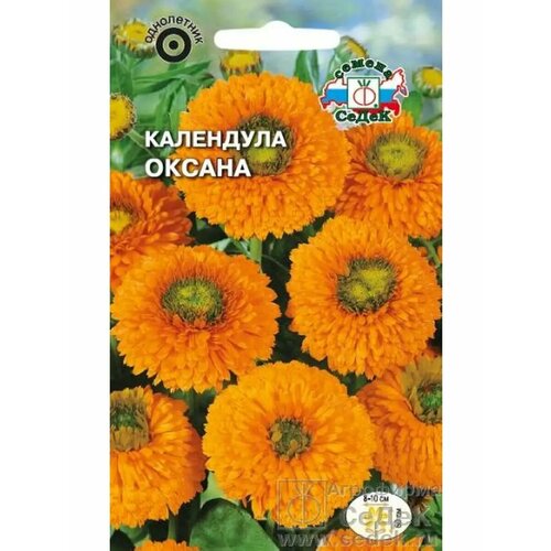 ������ ������ ��������� 