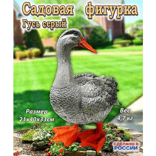 ������ ������ ������� ������� ���� �����, ����� ��� ����, ���� � ������� ����