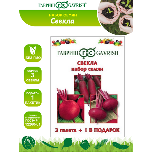 ������ ������ ������ ����� ������ 3 ������ + 1 � ������� ����