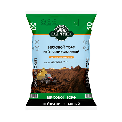 ������ ������ ���� �������� ����������������, 10 � ����