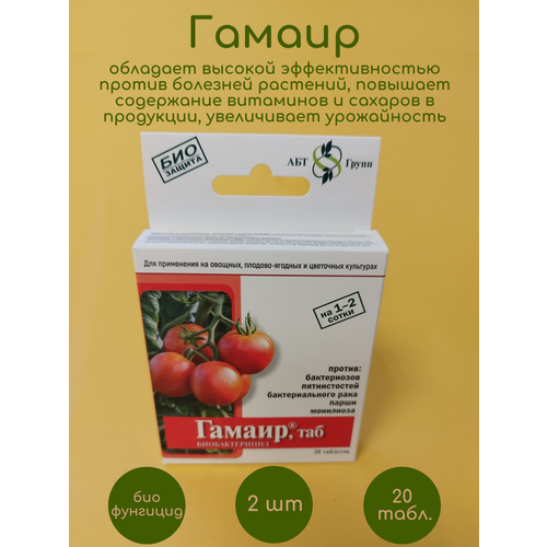 ������ ������ ������������� ���������� ��� ������ ������ 2 �� �� 20 ���. ����