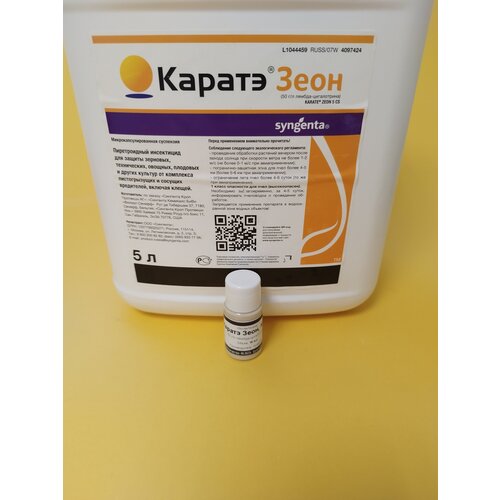 ������ ������ ���������� ������ ���� �� ���������-���������� 10 �� ����