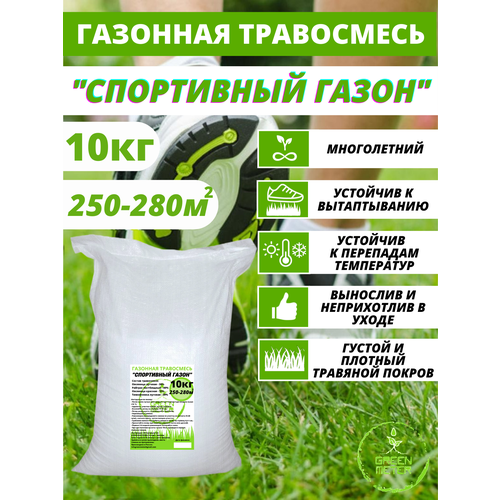 ������ ������ �������� ����� ������, ����� �������� 10 �� ����