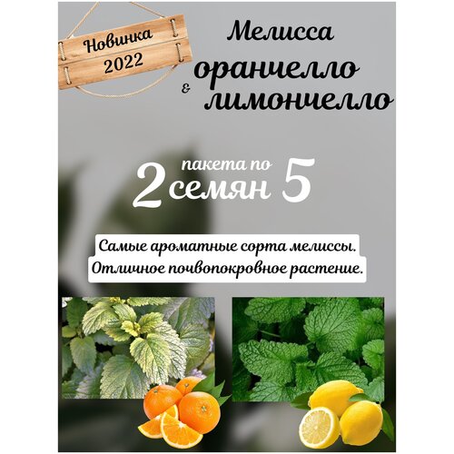 ������ ������ ������� ���������� � ��������� ������� ������ 2 ������ �� 5�� ����� ����