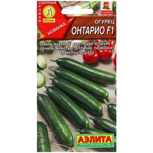 ������ ������ ������ ��������� ������ ������ ������� F1, 10�� ����