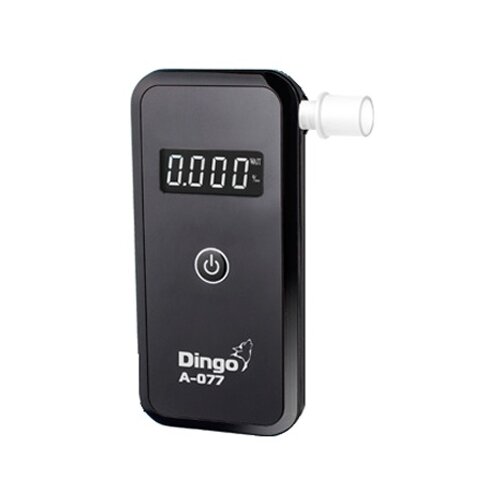 ������ ������ ���������� ����� A-077 ����