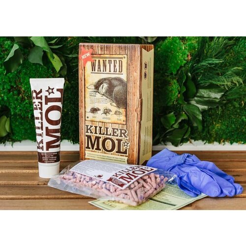 ������ ������ ������������ ������ ������ � �������� ������ ��� GARANT/TM ������ ������� ����� �������� ����