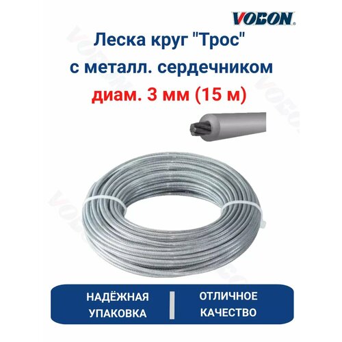 ������ ������ ����� ���� 