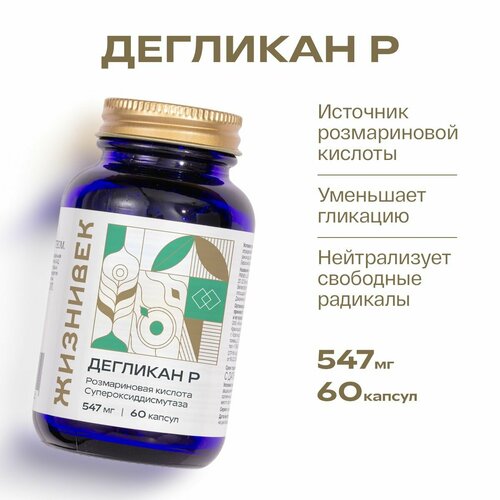 ������ ������ �������� � ����