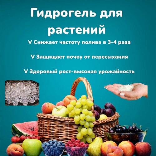 ������ ������ ��������� ��� �������� �� �������� ������ (������� 1-2 ��) 500 �� ����