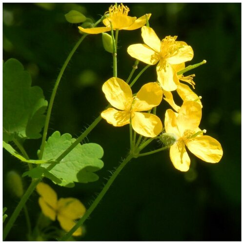 ������ ������ ������ ������ �������� ������� 30 ��. ����