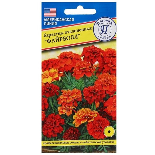 ������ ������ ������. �������� 