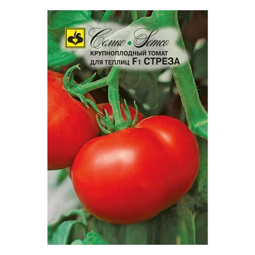 ������ ������ ����� ������ F1 ����