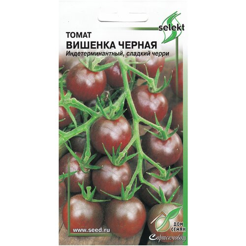 ������ ������ ����� ������� ������, 25 ����� ����