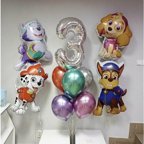 ������ ������ ���� �������� 11��, ������ ������� ������� ����