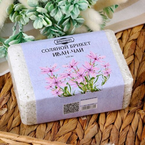 ������ ������ ������� ������ 