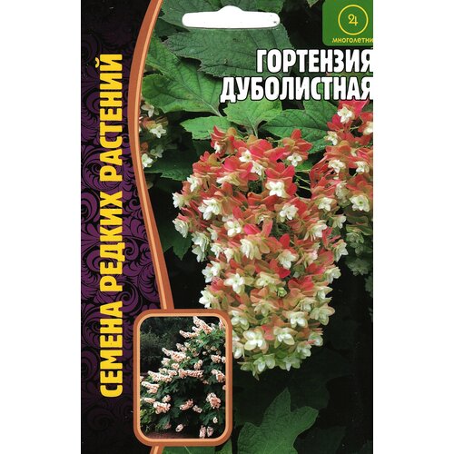 ������ ������ ��������� �����������, ����������� ( 1 ��: 20 ����� ) ����