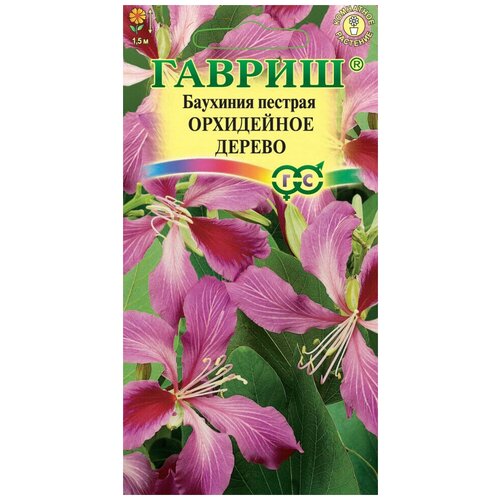 ������ ������ ������. �������� 