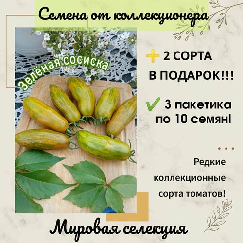 ������ ������ ����� ������ �������, ������� ��������, ������������� ���� ����