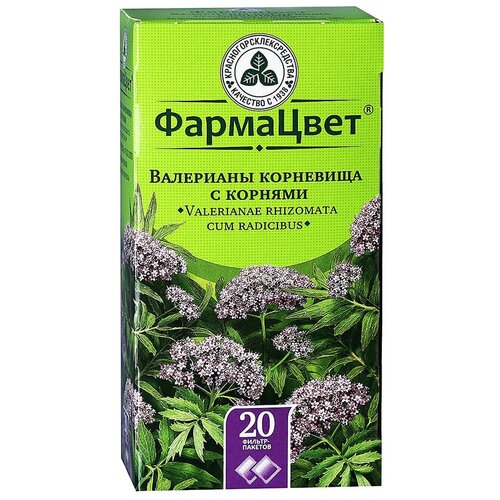 ������ ������ ���������������������� ����� � ��������� ��������� ��������� �/�, 1.5 �, 20 ��. ����