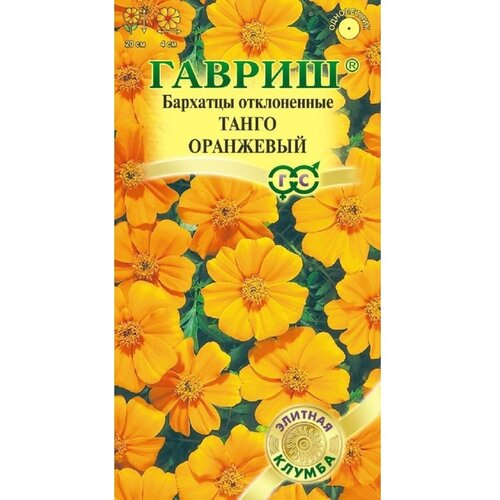 ������ ������ ������ �������� ������ ����� ��������� ������ (10��.) ����