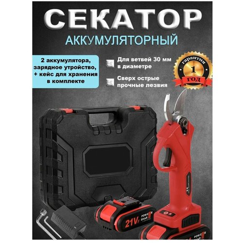 ������ ������ �������������� ������������� �������-�������� ����