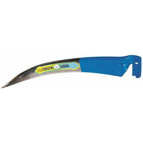 ������ ������ ���� ���� 