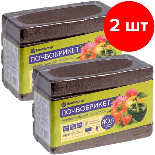 ������ ������ ����������� ��������� �������������, 2 �� �� 40 � (80 �) ����