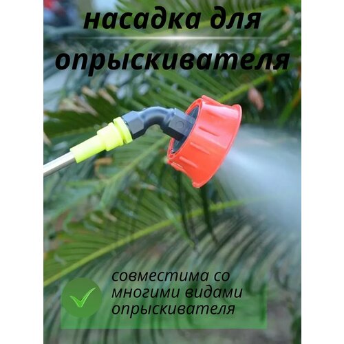 ������ ������ ������� ��� ������������� ����