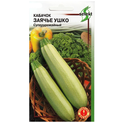 ������ ������ ������ ��� ����� ������� ������ ����, 10 �� ����