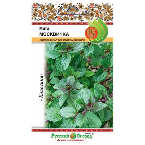 ������ ������ ������� ���� 