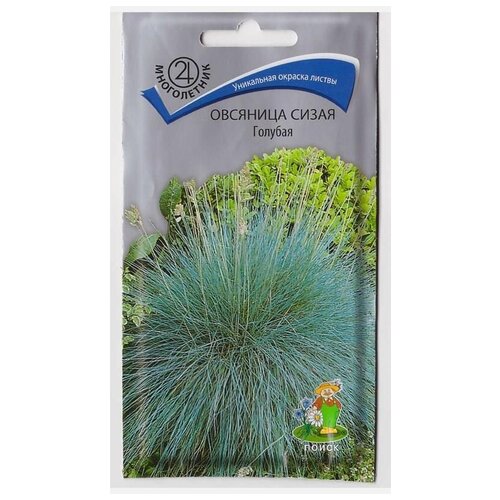 ������ ������ �������� ����� ������� (0,1 �), 2 ������ ����