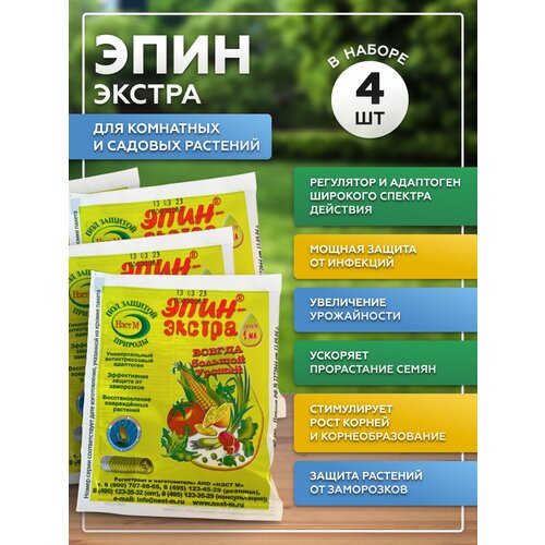 ������ ������ ���� ������ 1�� ���������� ��� �������� , ����� 4�� ����