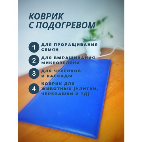 ������ ������ ������ ��� ������� ���������, 50x25 �� ��� ��������� �������, ��� ������������ ����� ����