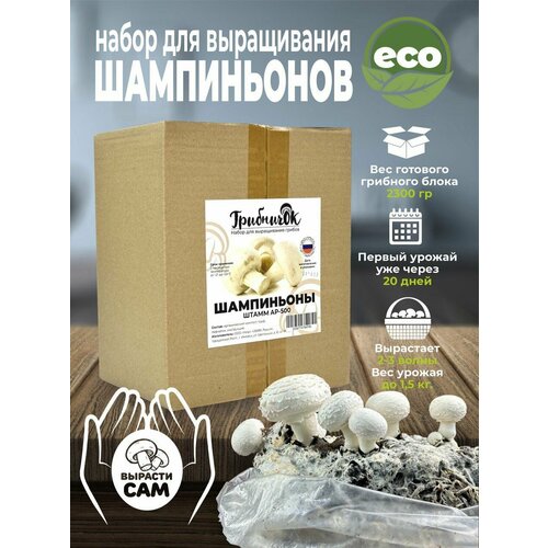 ������ ������ ����� ��� ����������� ������ ����������� �������� �������� ������� ����