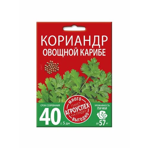 ������ ������ �������� (�����) ������, ������ ��������� �����-������� 15 � ����