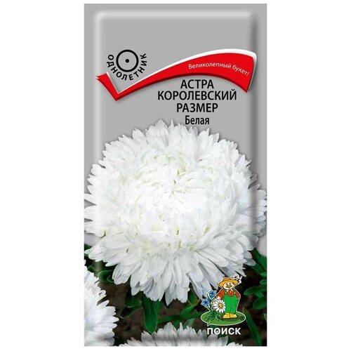 ������ ������ ����� ����������� ������ ����� ����