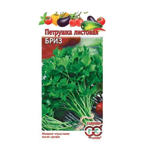 ������ ������ ������. �������� �������� 