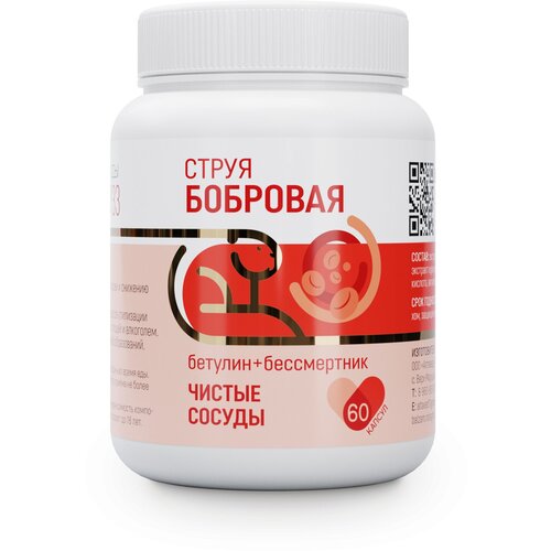 ������ ������ ��������� �33 