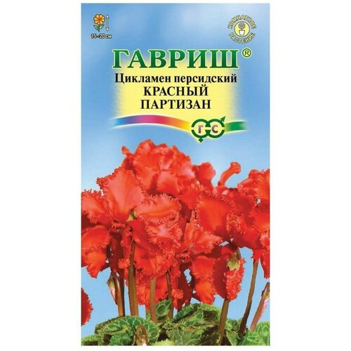 ������ ������ ������ ������ �������� 